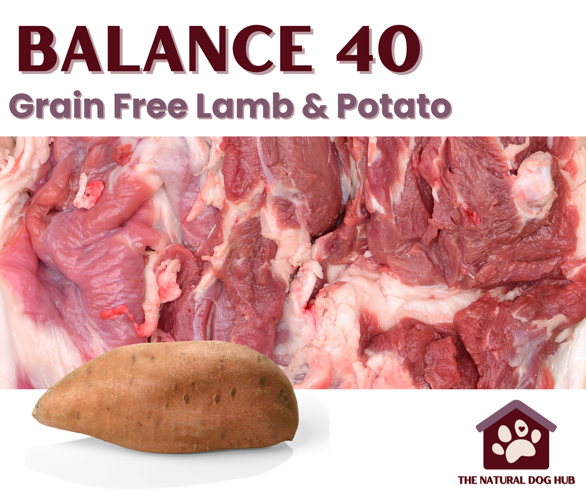 Natural balance best sale hypoallergenic dog food